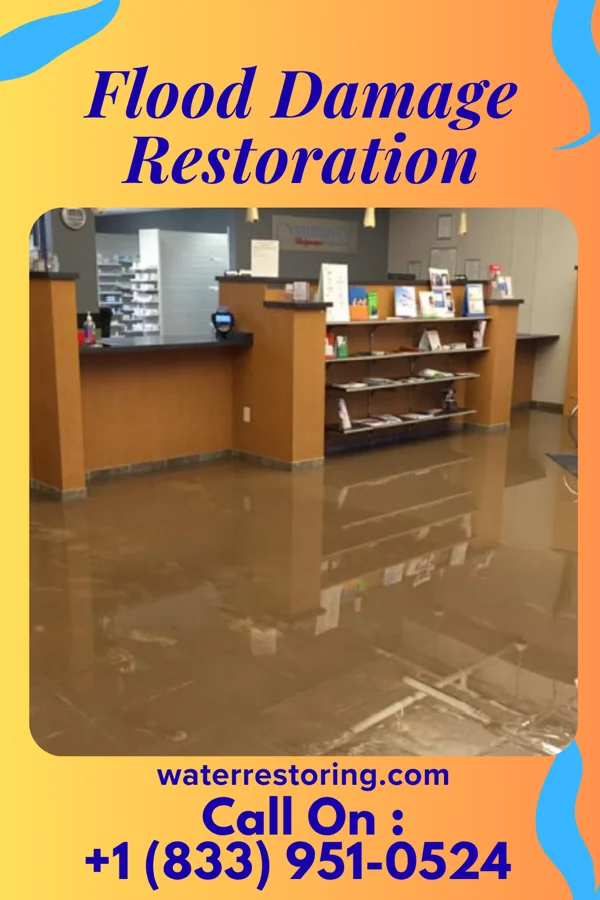 Flood Damage Restoration in Coraopolis, PA