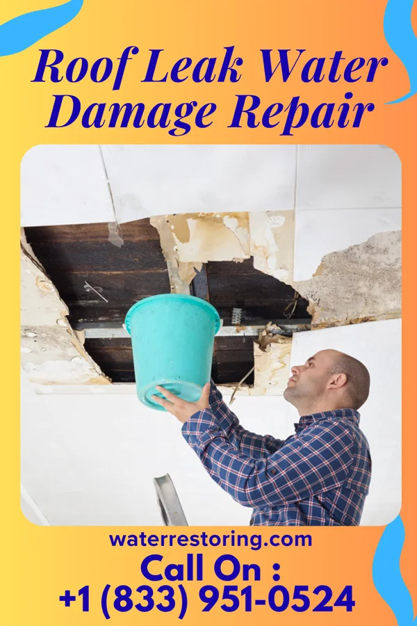 Roof Leak Water Damage Repair in Coraopolis, PA