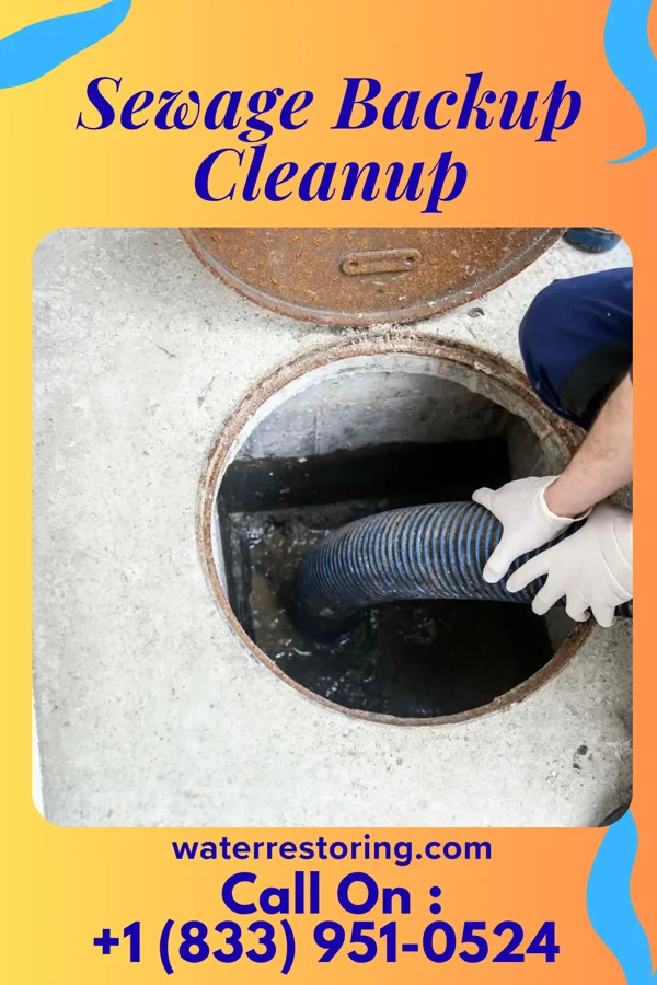 Sewage Backup Cleanup in Coraopolis, PA