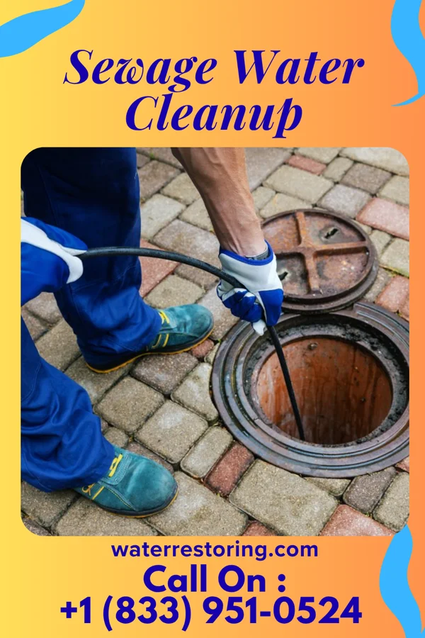 Sewage Water Cleanup in Coraopolis, PA