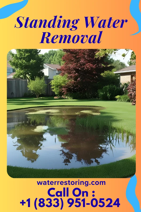 Standing Water Removal in Coraopolis, PA